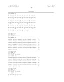 HUMAN CYTOMEGALOVIRUS NEUTRALIZING ANTIBODIES AND USE THEREOF diagram and image