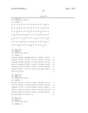 HUMAN CYTOMEGALOVIRUS NEUTRALIZING ANTIBODIES AND USE THEREOF diagram and image