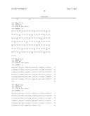 HUMAN CYTOMEGALOVIRUS NEUTRALIZING ANTIBODIES AND USE THEREOF diagram and image