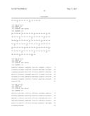 HUMAN CYTOMEGALOVIRUS NEUTRALIZING ANTIBODIES AND USE THEREOF diagram and image