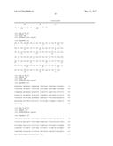 HUMAN CYTOMEGALOVIRUS NEUTRALIZING ANTIBODIES AND USE THEREOF diagram and image