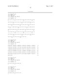 HUMAN CYTOMEGALOVIRUS NEUTRALIZING ANTIBODIES AND USE THEREOF diagram and image