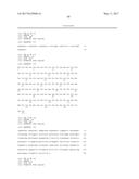 HUMAN CYTOMEGALOVIRUS NEUTRALIZING ANTIBODIES AND USE THEREOF diagram and image