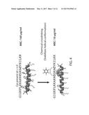 ANTIBODY MOLECULE-DRUG CONJUGATES AND USES THEREOF diagram and image