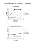 ANTIBODY MOLECULE-DRUG CONJUGATES AND USES THEREOF diagram and image