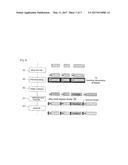 METHOD FOR PROCESSING RADIO PROTOCOL IN MOBILE TELECOMMUNICATIONS SYSTEM     AND TRANSMITTER OF MOBILE TELECOMMUNICATIONS diagram and image