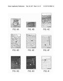 TISSUE-ENGINEERED CONSTRUCTS diagram and image