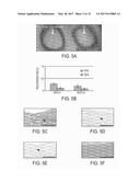 TISSUE-ENGINEERED CONSTRUCTS diagram and image