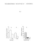 Cosmetic, dermatic, protective compositions comprising phospholipids,     lecithins with peptides and at least one acetylating compound. diagram and image