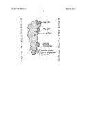 SYNTHETIC BILE ACID COMPOSITIONS AND METHODS diagram and image