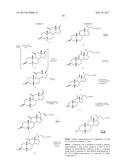 SYNTHETIC BILE ACID COMPOSITIONS AND METHODS diagram and image