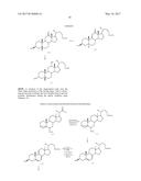 SYNTHETIC BILE ACID COMPOSITIONS AND METHODS diagram and image