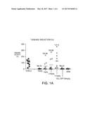 COMPOSITIONS AND METHODS FOR THE PRODUCTION OF PYRIMIDINE AND PYRIDINE     COMPOUNDS WITH BTK INHIBITORY ACTIVITY diagram and image