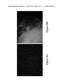 METHODS AND COMPOSITIONS FOR DISRUPTING BIOFILM UTILIZING     CHITOSAN-DERIVATIVE COMPOUNDS diagram and image