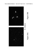 METHODS AND COMPOSITIONS FOR DISRUPTING BIOFILM UTILIZING     CHITOSAN-DERIVATIVE COMPOUNDS diagram and image