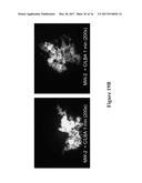 METHODS AND COMPOSITIONS FOR DISRUPTING BIOFILM UTILIZING     CHITOSAN-DERIVATIVE COMPOUNDS diagram and image