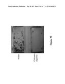 METHODS AND COMPOSITIONS FOR DISRUPTING BIOFILM UTILIZING     CHITOSAN-DERIVATIVE COMPOUNDS diagram and image