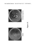 METHODS AND COMPOSITIONS FOR DISRUPTING BIOFILM UTILIZING     CHITOSAN-DERIVATIVE COMPOUNDS diagram and image