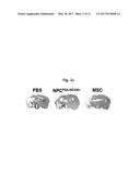 COMPOSITION FOR TREATING ISCHEMIC DISEASES OR NEUROINFLAMMATORY DISEASES     CONTAINING NEURAL PROGENITOR CELLS OR SECRETOME THEREOF AS ACTIVE     INGREDIENT diagram and image