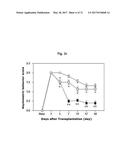 COMPOSITION FOR TREATING ISCHEMIC DISEASES OR NEUROINFLAMMATORY DISEASES     CONTAINING NEURAL PROGENITOR CELLS OR SECRETOME THEREOF AS ACTIVE     INGREDIENT diagram and image