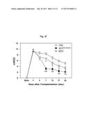 COMPOSITION FOR TREATING ISCHEMIC DISEASES OR NEUROINFLAMMATORY DISEASES     CONTAINING NEURAL PROGENITOR CELLS OR SECRETOME THEREOF AS ACTIVE     INGREDIENT diagram and image