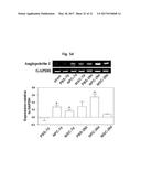 COMPOSITION FOR TREATING ISCHEMIC DISEASES OR NEUROINFLAMMATORY DISEASES     CONTAINING NEURAL PROGENITOR CELLS OR SECRETOME THEREOF AS ACTIVE     INGREDIENT diagram and image