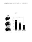 COMPOSITION FOR TREATING ISCHEMIC DISEASES OR NEUROINFLAMMATORY DISEASES     CONTAINING NEURAL PROGENITOR CELLS OR SECRETOME THEREOF AS ACTIVE     INGREDIENT diagram and image