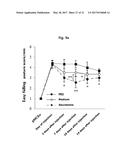 COMPOSITION FOR TREATING ISCHEMIC DISEASES OR NEUROINFLAMMATORY DISEASES     CONTAINING NEURAL PROGENITOR CELLS OR SECRETOME THEREOF AS ACTIVE     INGREDIENT diagram and image