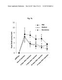 COMPOSITION FOR TREATING ISCHEMIC DISEASES OR NEUROINFLAMMATORY DISEASES     CONTAINING NEURAL PROGENITOR CELLS OR SECRETOME THEREOF AS ACTIVE     INGREDIENT diagram and image