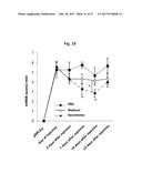 COMPOSITION FOR TREATING ISCHEMIC DISEASES OR NEUROINFLAMMATORY DISEASES     CONTAINING NEURAL PROGENITOR CELLS OR SECRETOME THEREOF AS ACTIVE     INGREDIENT diagram and image