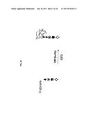 GLYCOPEGYLATED FACTOR IX diagram and image