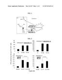 INDUCTION OF IMMUNE RESPONSE diagram and image