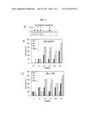 INDUCTION OF IMMUNE RESPONSE diagram and image