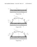 VASCULAR ACCESS DEVICE AND METHOD OF USE THEREOF diagram and image