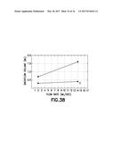 FLUID PATH SET WITH TURBULENT MIXING CHAMBER, BACK FLOW COMPENSATOR diagram and image