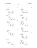 ERK INHIBITORS AND USES THEREOF diagram and image