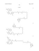 ERK INHIBITORS AND USES THEREOF diagram and image