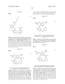 ERK INHIBITORS AND USES THEREOF diagram and image