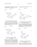 ERK INHIBITORS AND USES THEREOF diagram and image