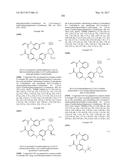 ERK INHIBITORS AND USES THEREOF diagram and image