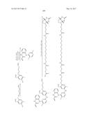 ERK INHIBITORS AND USES THEREOF diagram and image