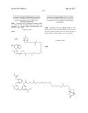 ERK INHIBITORS AND USES THEREOF diagram and image