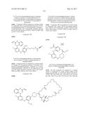 ERK INHIBITORS AND USES THEREOF diagram and image