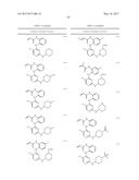 ERK INHIBITORS AND USES THEREOF diagram and image