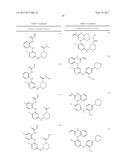 ERK INHIBITORS AND USES THEREOF diagram and image