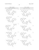 ERK INHIBITORS AND USES THEREOF diagram and image