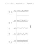 Amine Cationic Lipids and Uses Thereof diagram and image