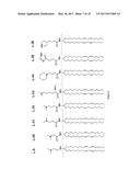 Amine Cationic Lipids and Uses Thereof diagram and image