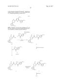 SUBSTITUTED PYRROLIDINES AS FACTOR XIA INHIBITORS FOR THE TREATMENT     THROMBOEMBOLIC DISEASES diagram and image