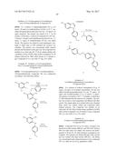 ANTIVIRAL DRUGS FOR TREATMENT OF ARENAVIRUS INFECTION diagram and image